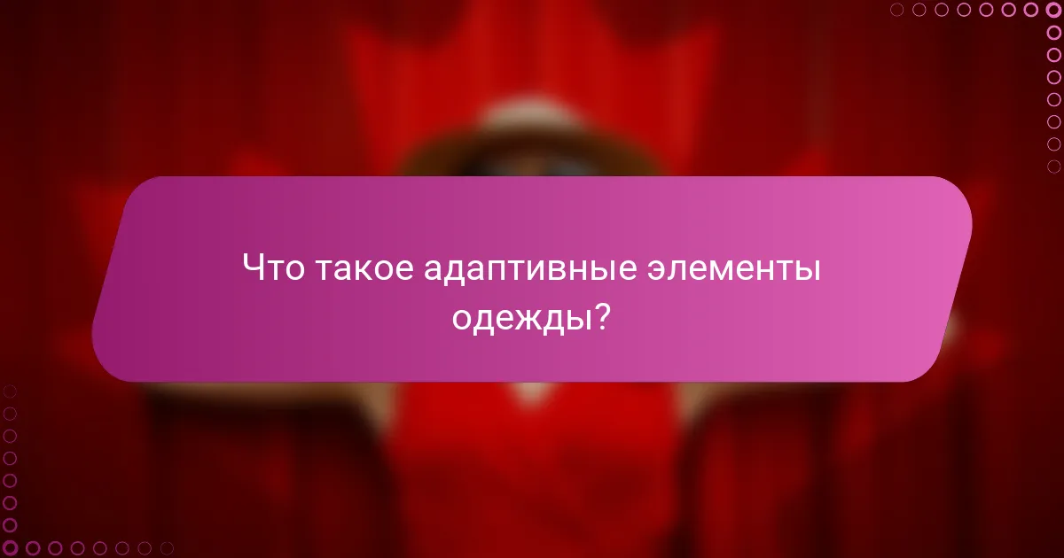 Что такое адаптивные элементы одежды?